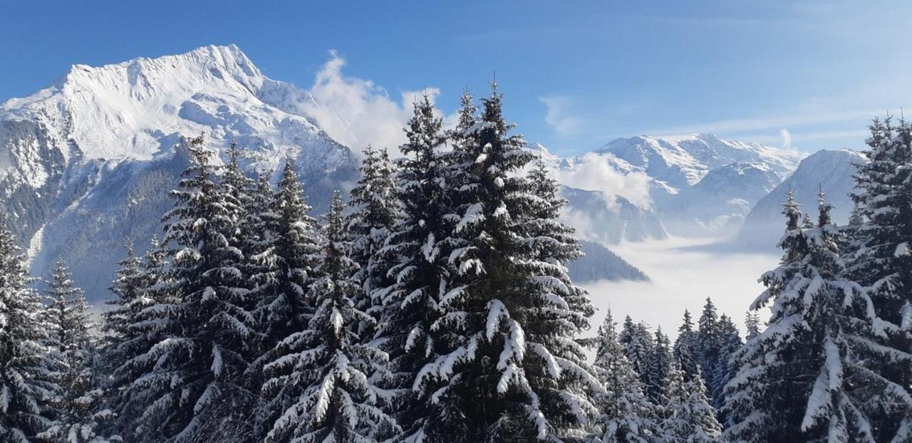 Les Glieres - Champagny-En-Vanoise La Plagne Exteriör bild